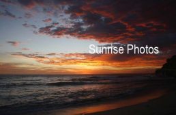 Bronte Beach