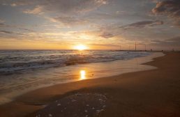 Mona Vale Beach