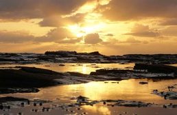 Collaroy Rock Platform